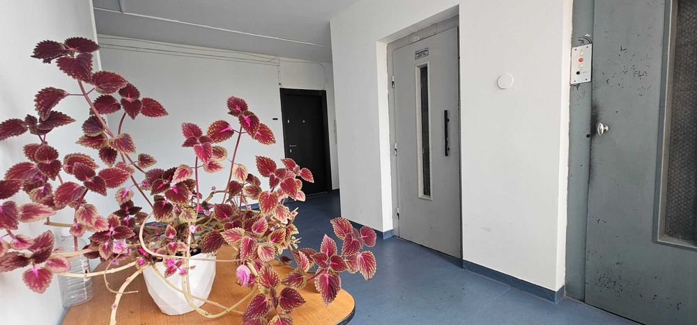 Garsoniera care te inspira sa incepi, 32 mp - METROU FAVORIT