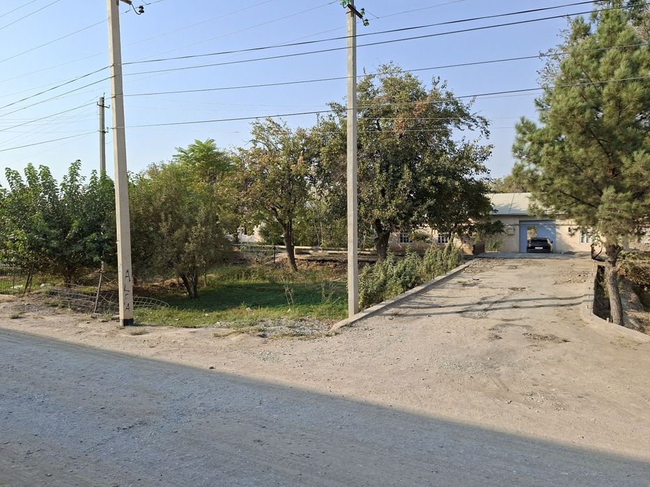 18 sutix xovli sotiladi