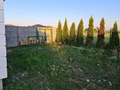 apartament in casa  are curte privata  nu comuna
