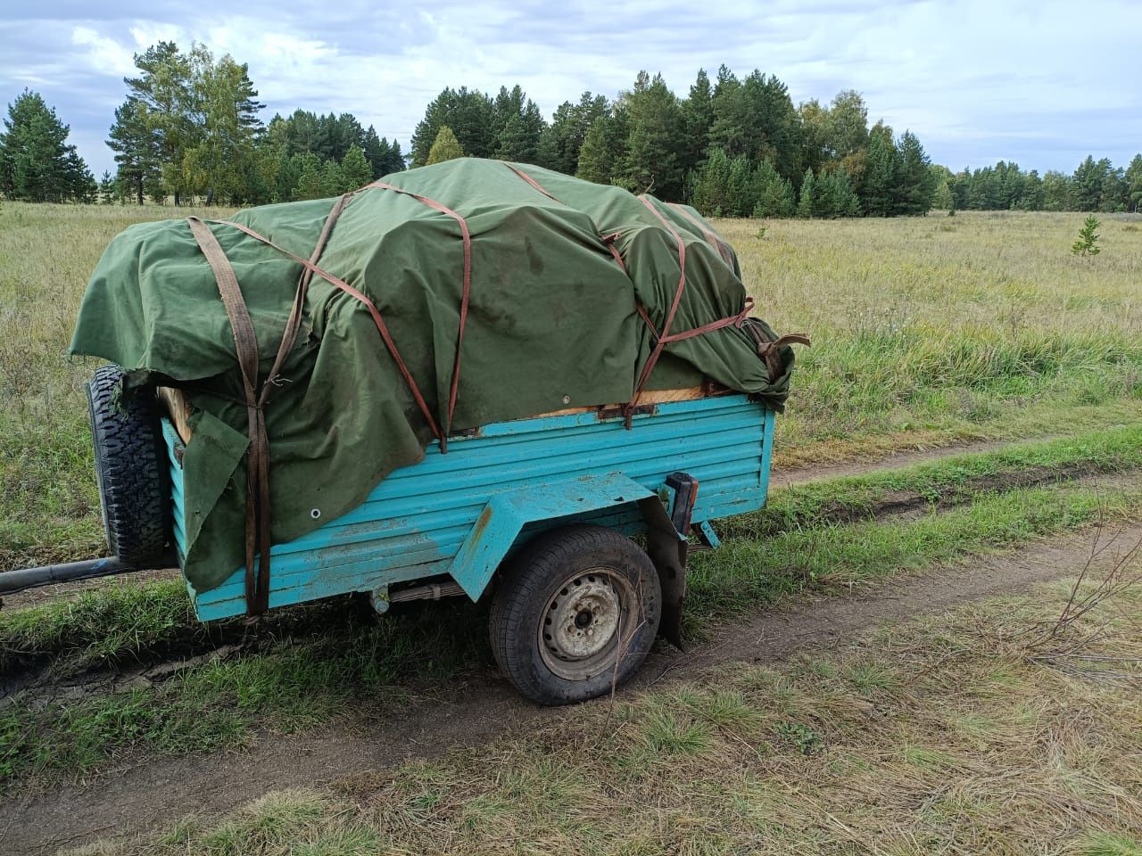 Дрова в прицепе .