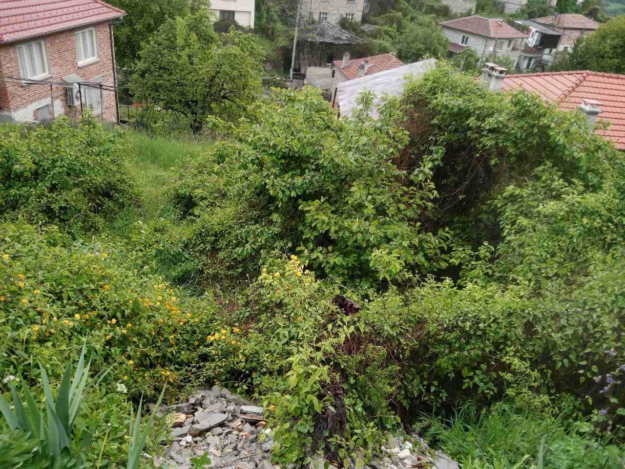 Продава се Парцел в с. Хвойна, Област Смолян - 380 кв.м за 22 €/кв.м - Снимка #2