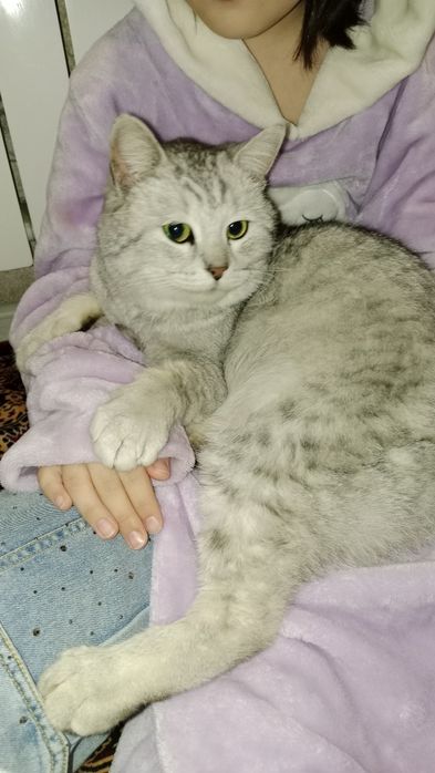 Бросили и переехали