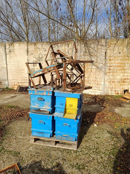 Пчелни кошери с магазини