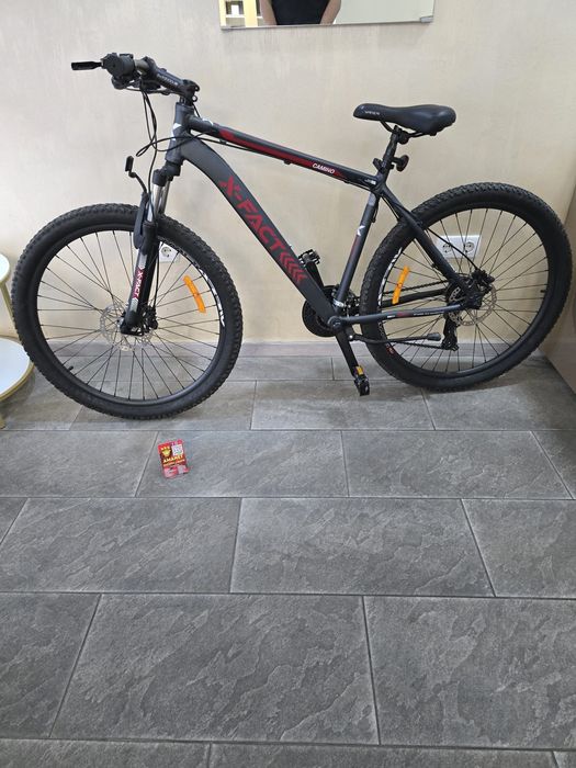 Camino X-Fact Amanet BKG