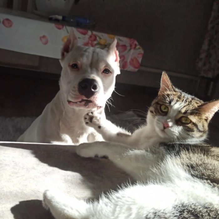 Шикарный  АСТ. 8 мес. Все по телефону.