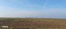 Teren extravilan in localitatea  Nojorid – 7.100 mp, cu posibilitate