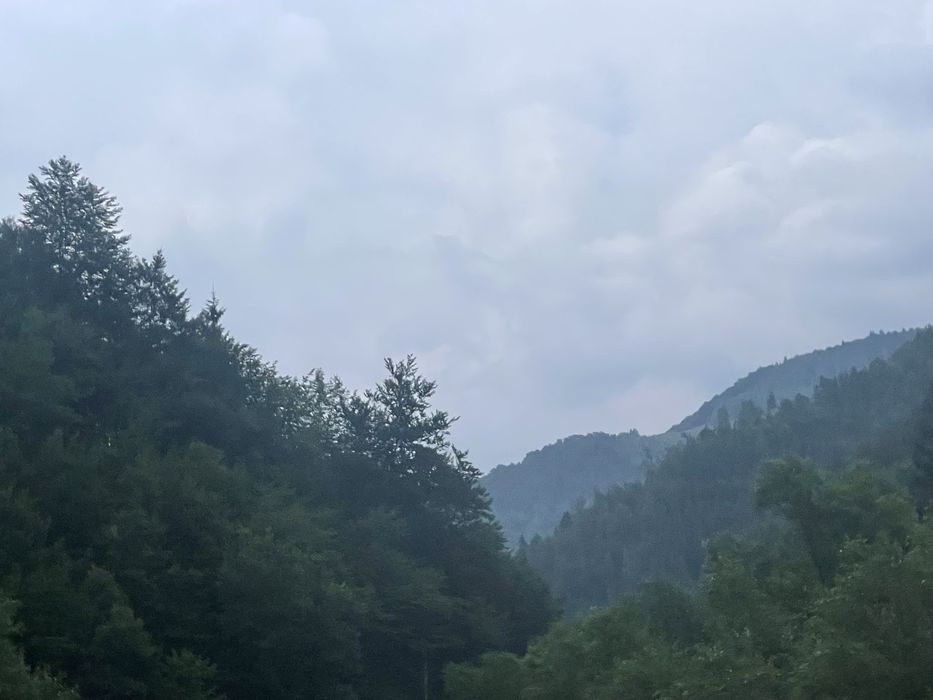 Teren Maguri racatau si cabana