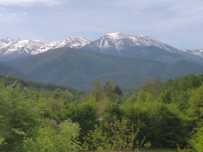 Teren de vânzare,Valea Avrigului, panorama superbă spre Munții Făgăraș