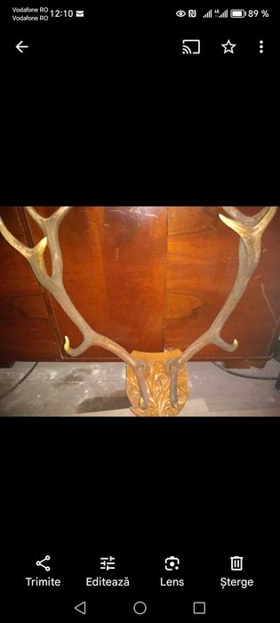 Coarne de cerb pe suport de lemn sculptat .