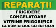 Reparatii frigidere la domiciliu,Ciorogarla,Domnesti,Clinceni Ilfov