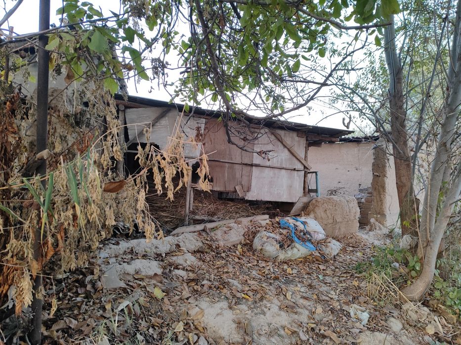 Xasanboy sixatgox 2 berk koʻchasi 9 uyda 2 sotix yer sotiladi