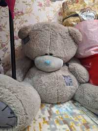 Kotta teddy ayiq