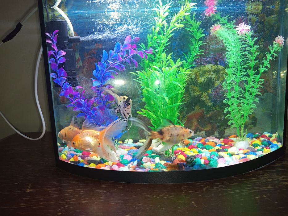 Аквариум 40 литр