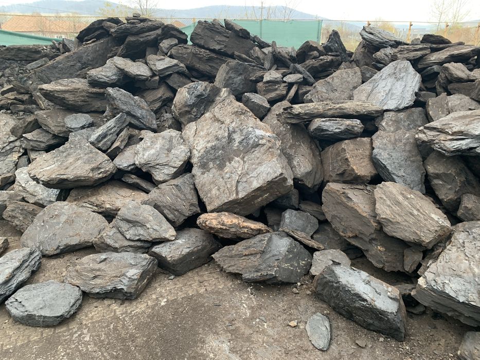 Carbune lignit inlocuitor lemn