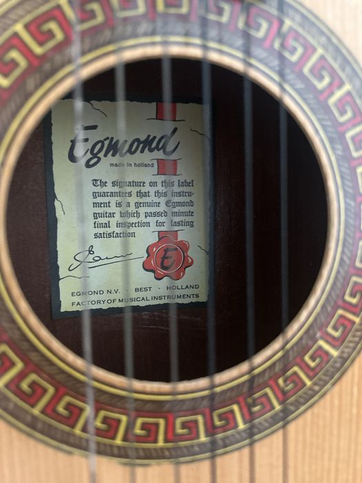 Chitară functionala tip anilor 70