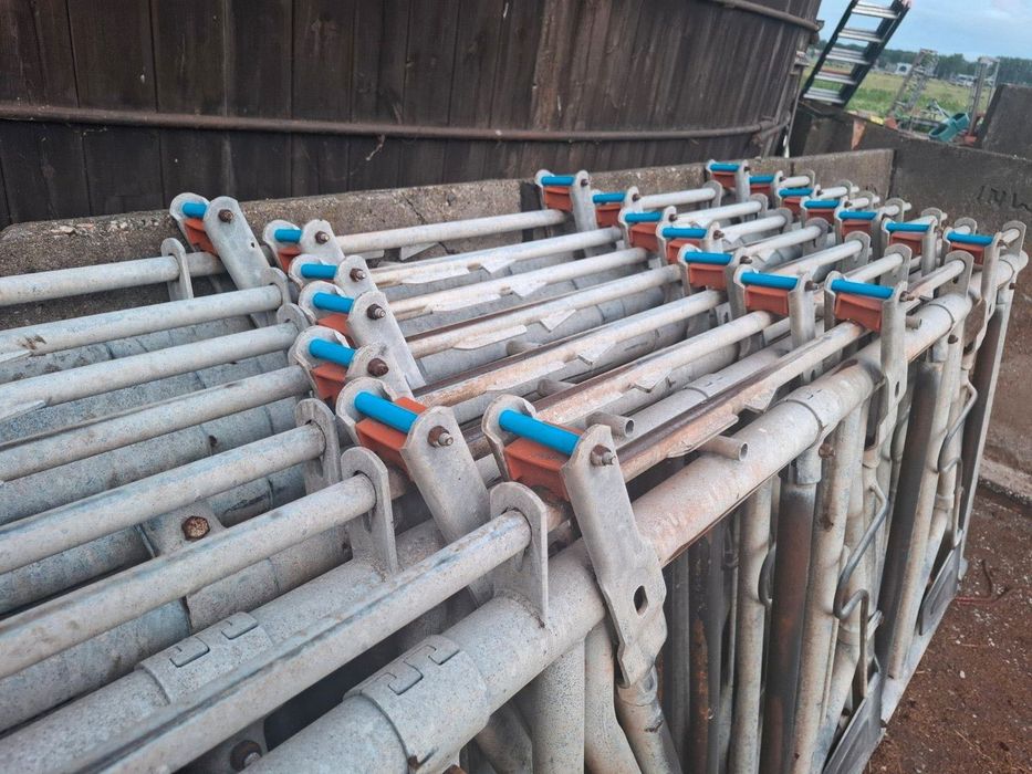 covoare vaci cusete fronturi racleti