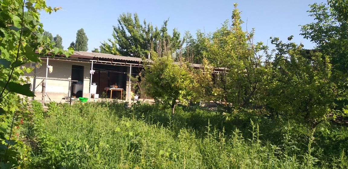 Уй сотилади. У'рта Сарой Абай махалла 8 сотих 10 хона