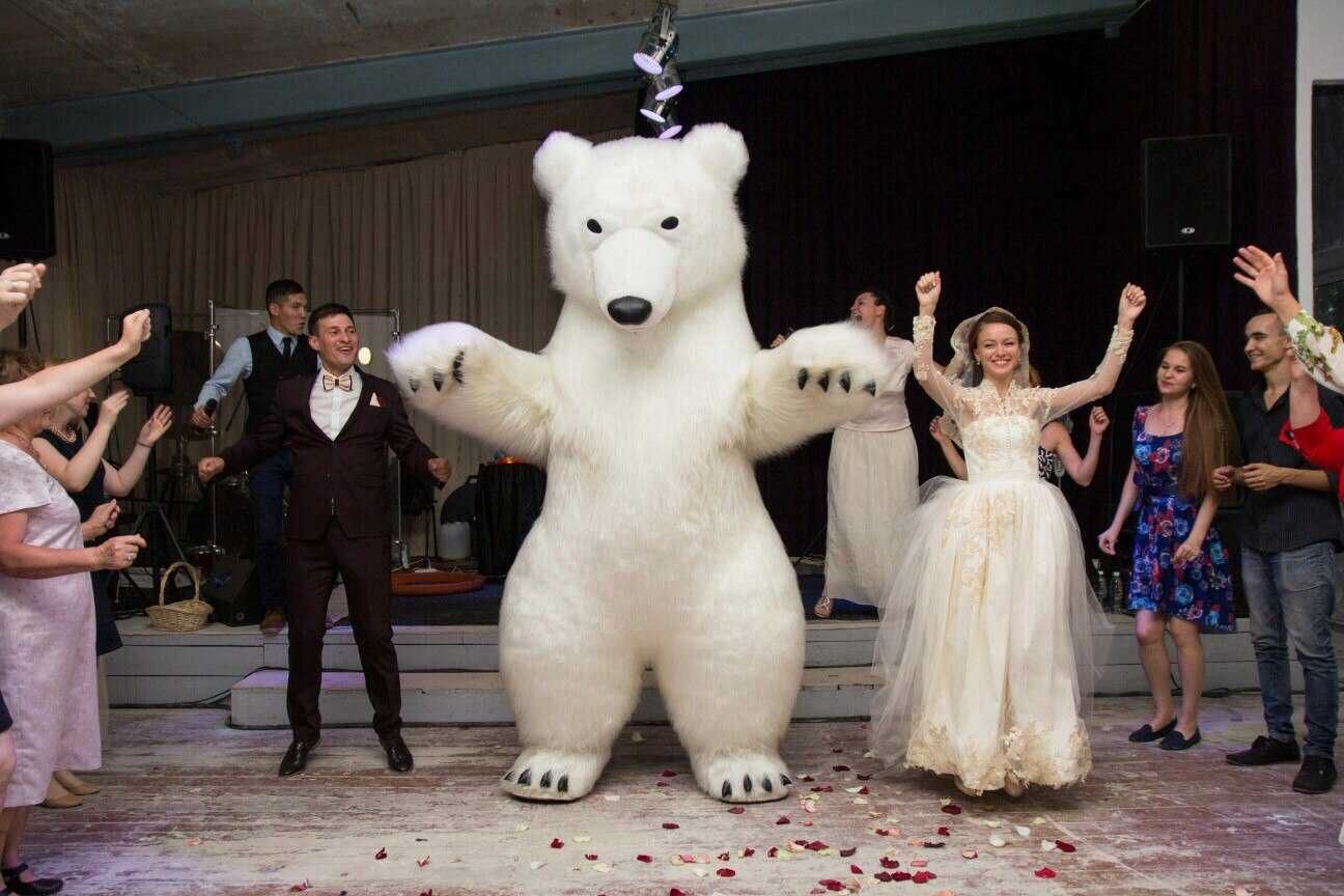 Белый Медведь Ждет Вас: Зимний Праздник С Улыбкой!