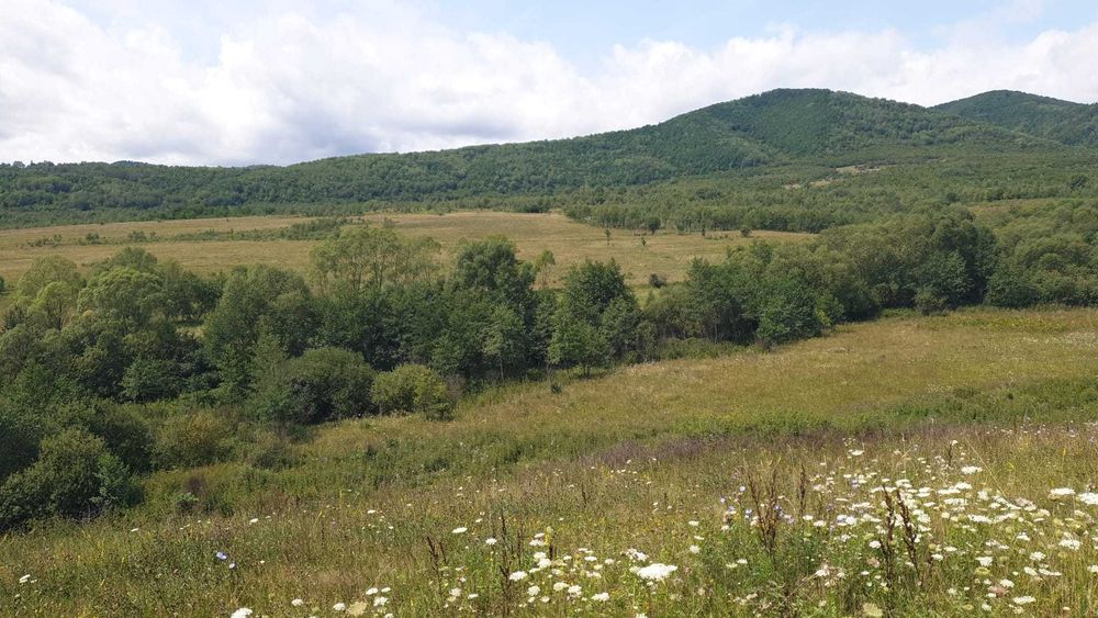 PF vand teren SALICEA, IARA extravilan,parcele de 500la5000mp , CABANA