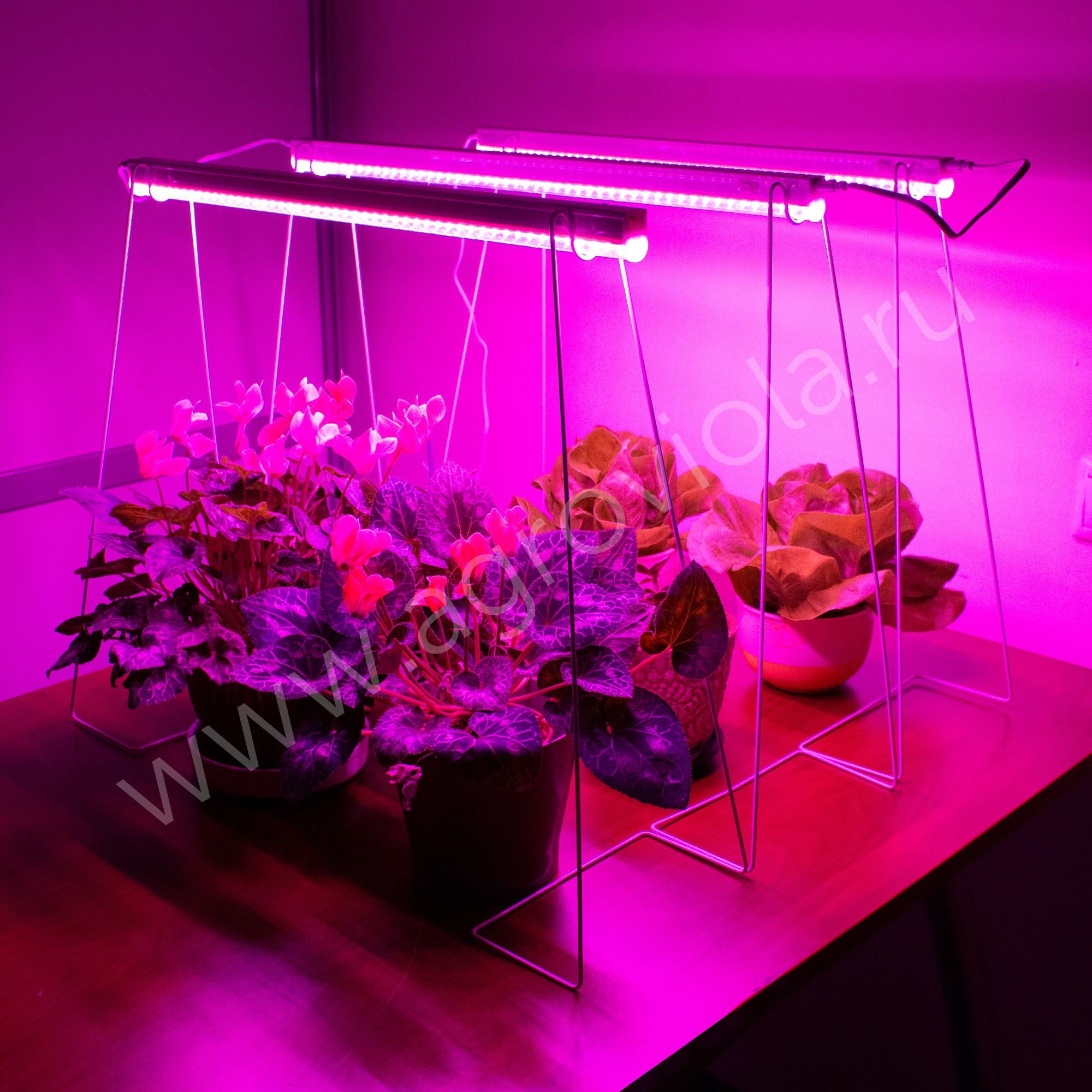 Продам новую лампу для быстрого роста растений , аквариума , цветов ,