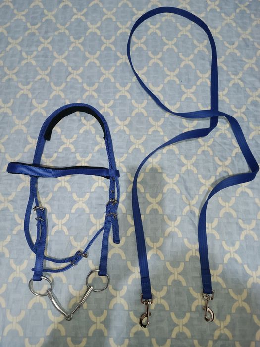 Уздечко для лошади уздечка юган jugan yugan uzdechka nuqta toy ot