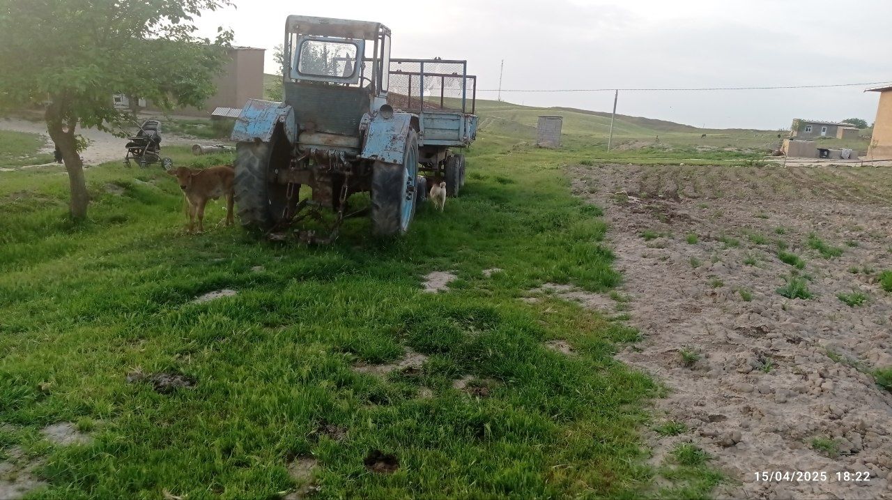 Traktor tlichka sotiladi