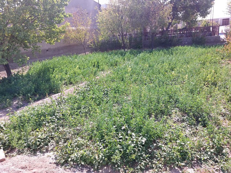 Uchastka sotiladi.narxi kelishiladi.pul zarur