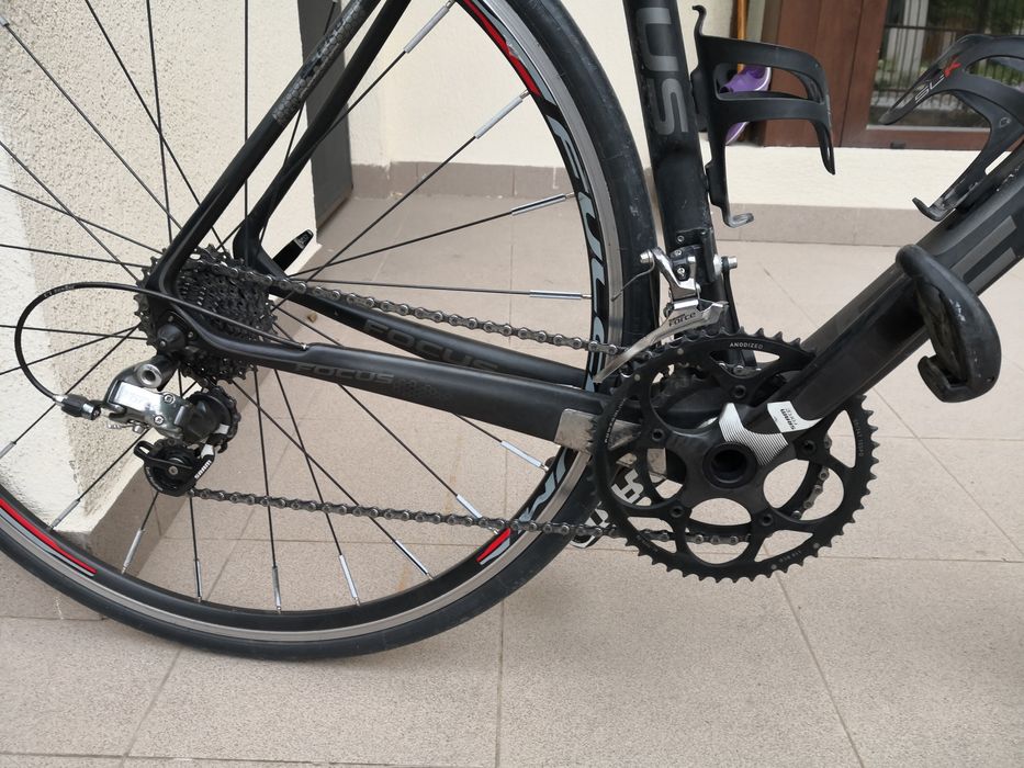 Cursiera carbon Focus