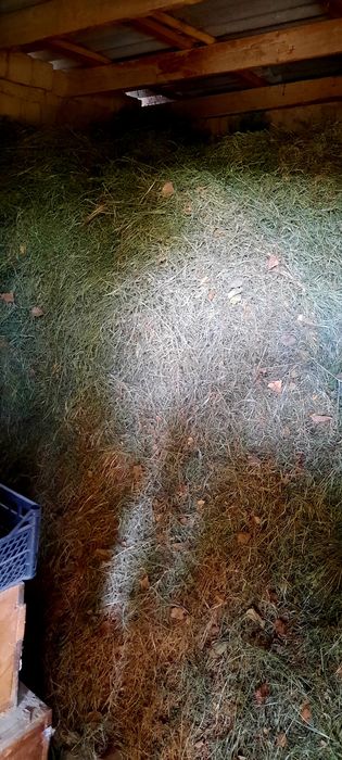 Жонышка Сатылады