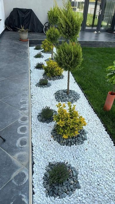 Pachet gazon +montaj 50 ron