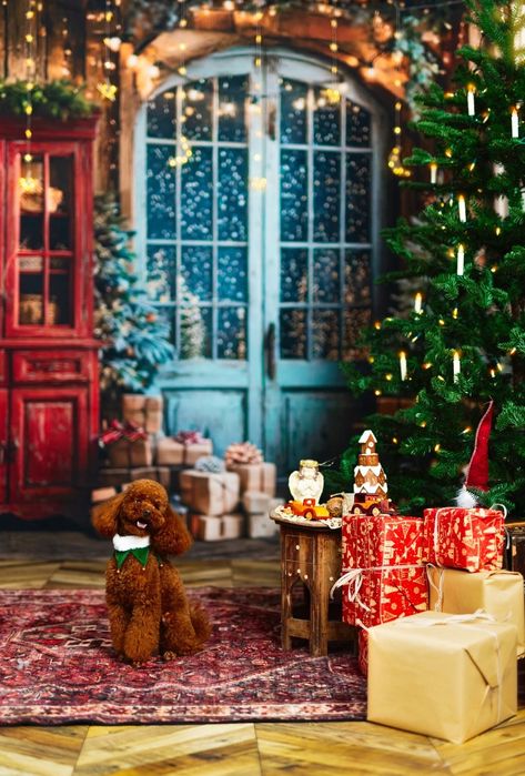 Коледни фотосесии в София