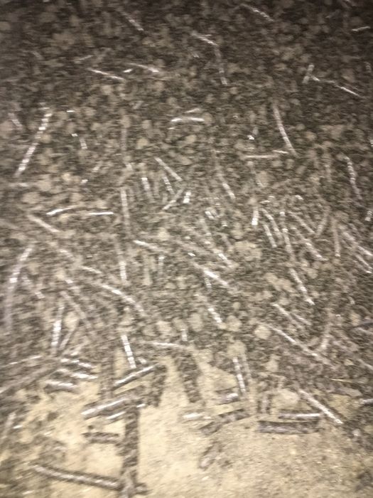 vand srot floarea soarelui