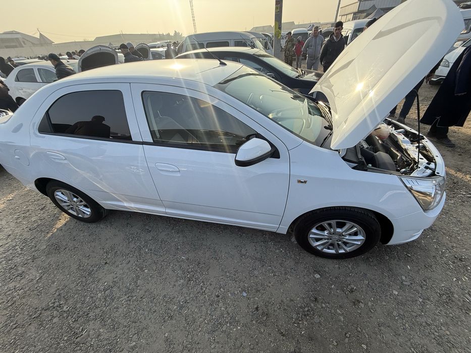 Кобалт 2023 ок.