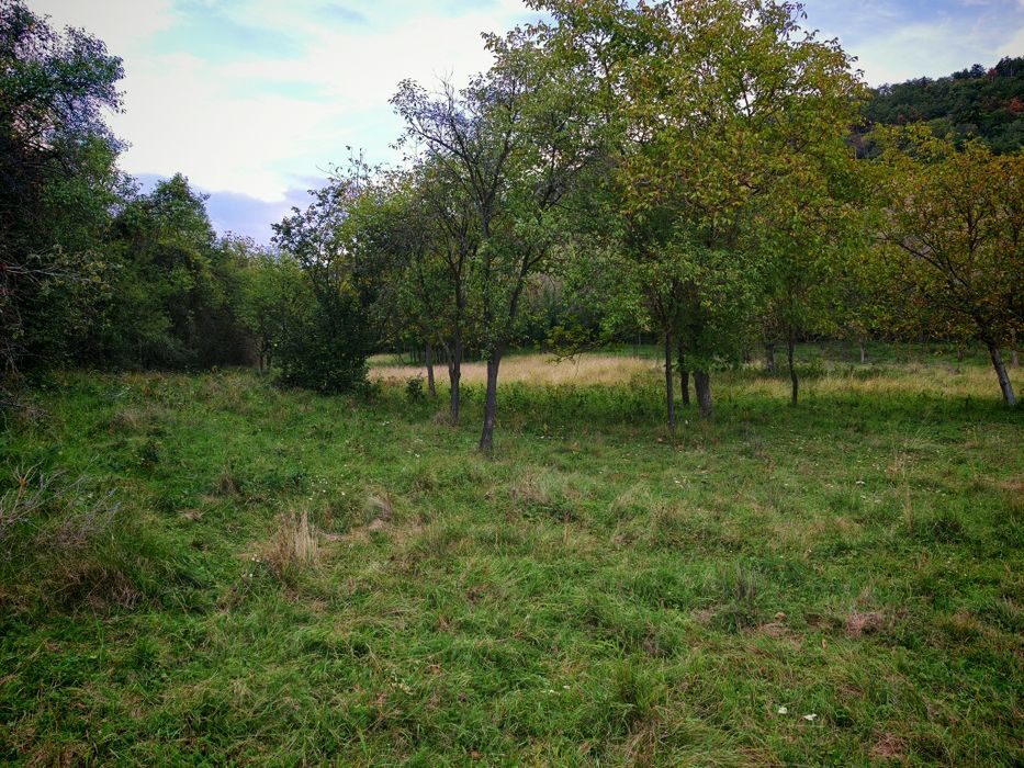 Teren de vânzare Vurpar