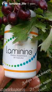 Laminine®/Ламинин® оригинал, LifePharm США