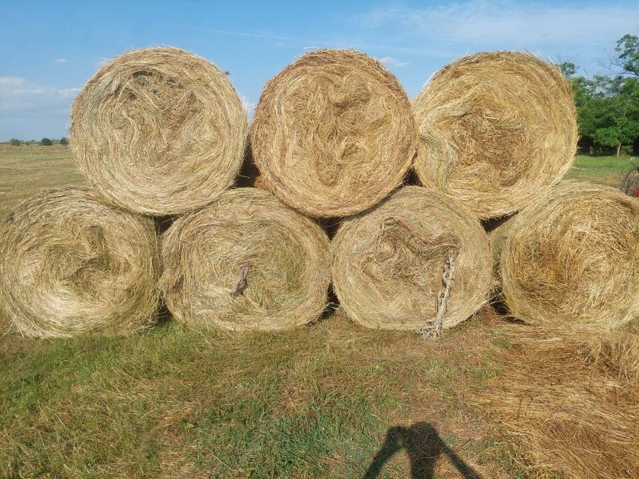 Baloți lucernă și fân