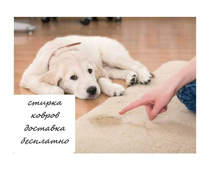 Чистка/стирка ковров