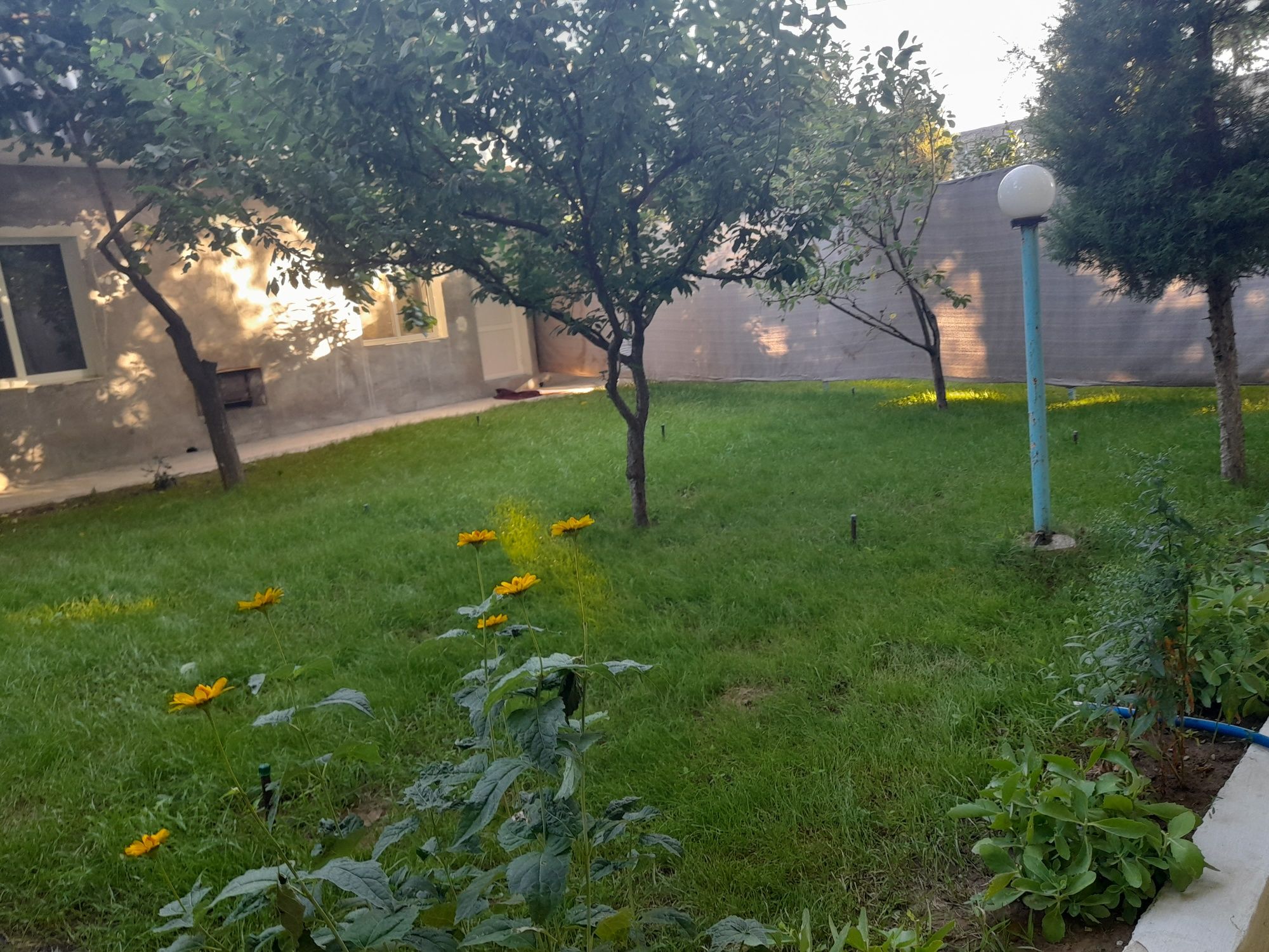 Arendaga Dacha Chirchiqda