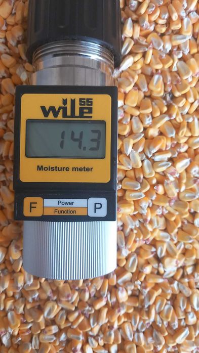 Porumb boabe, orz, grau, mazare, floare,  recolta 2025