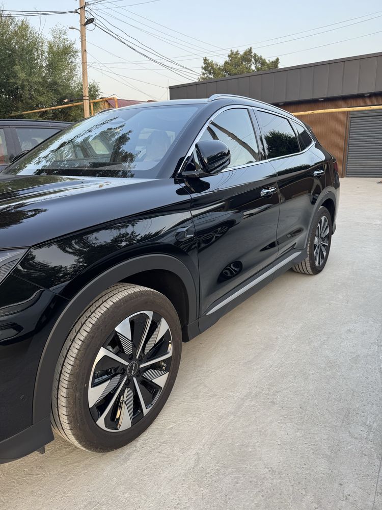 Byd chempion smart