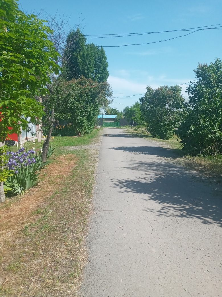 Продам дом 85кв.м с участком  18 соток в пригороде
