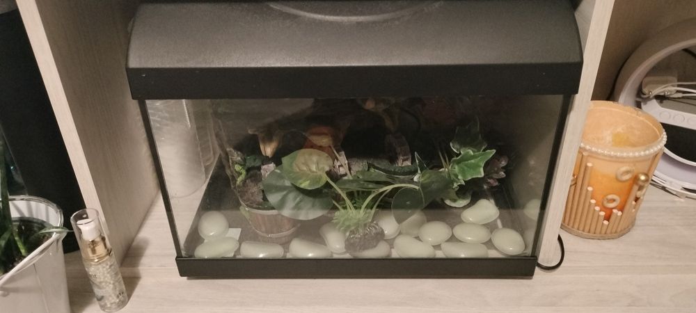 Vind  acvariu echipatei