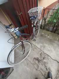 Bicicleta si carucior handicap