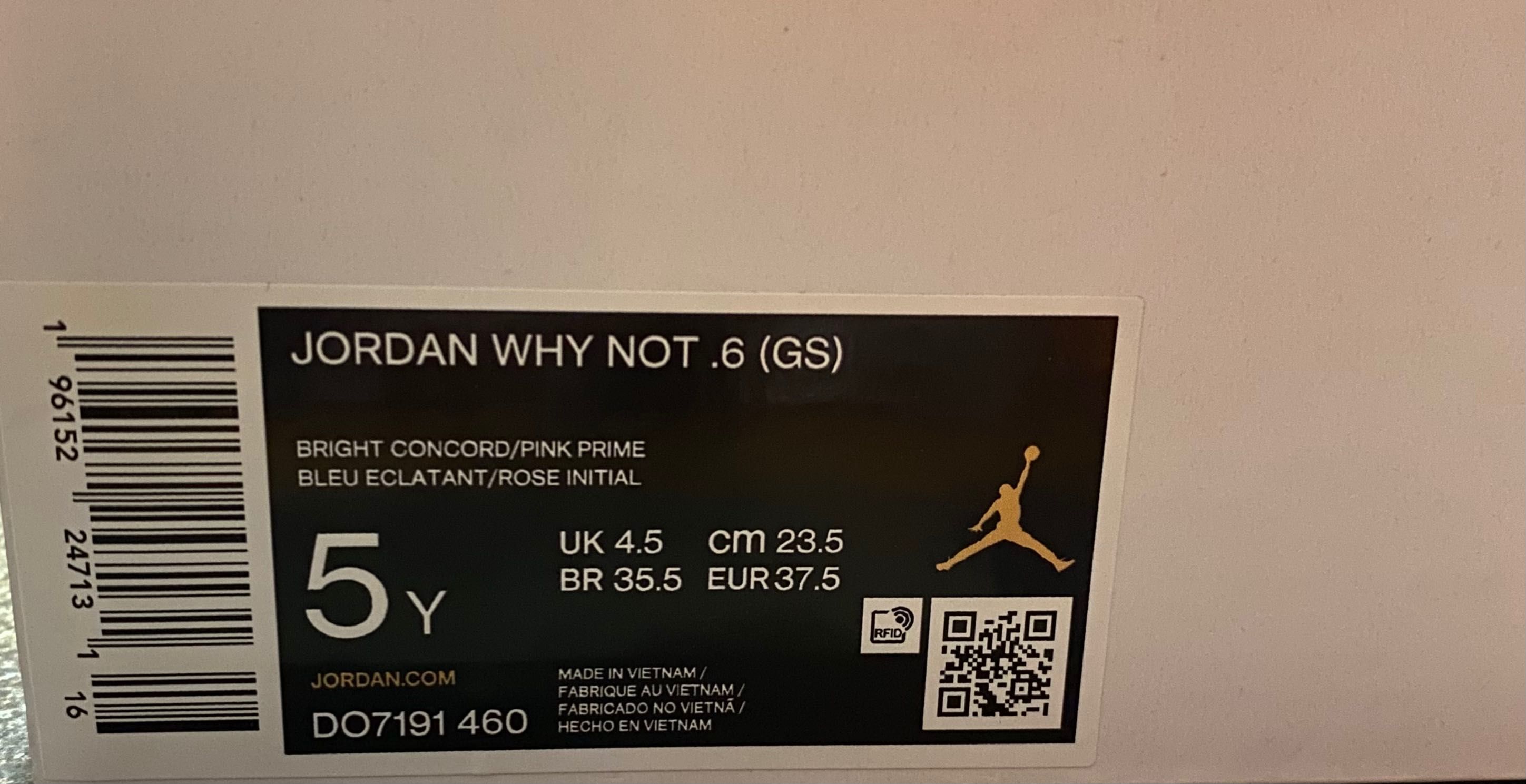 Pantof Jordan Why Not