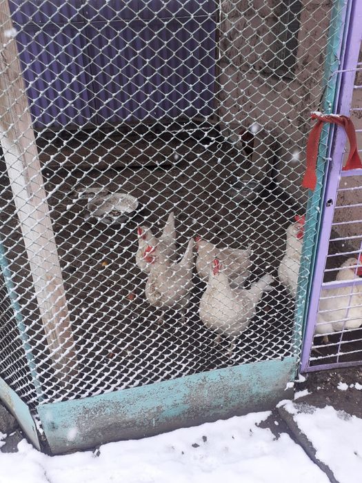 Продаётся уютный дом