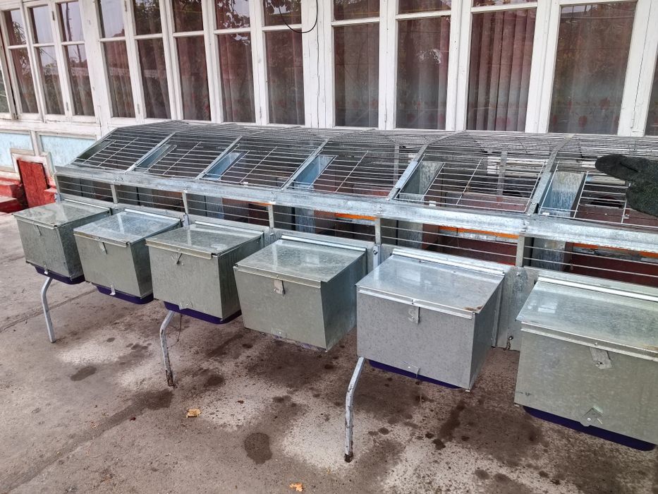 Пулкерак бопколди