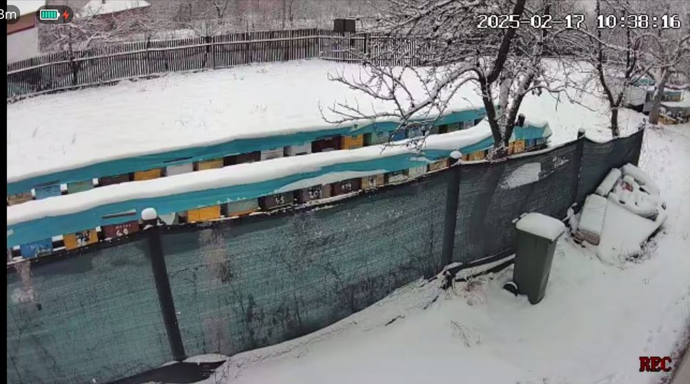 Vând 200 kg miere salcâm 2023