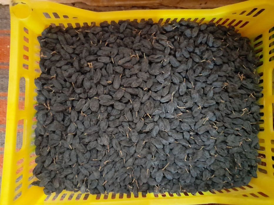 Osh mayiz, soyaki gigant, kunaki sotiladi.