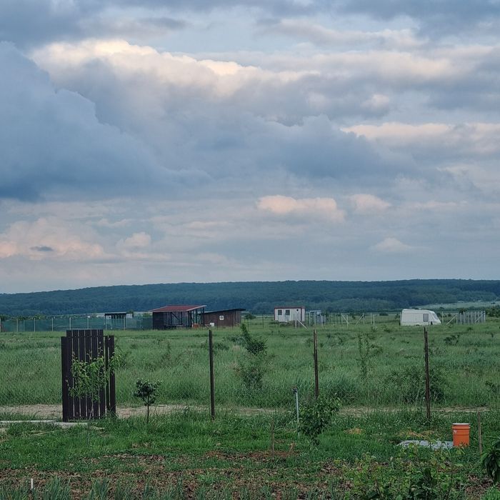Vând teren intravilan cu Cabană din structură ușoară in Loc. Păușa BH