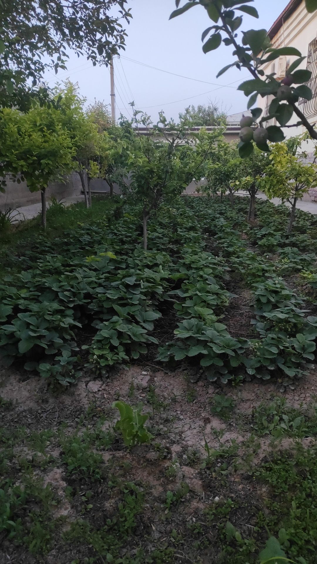 Продам СРОЧНО  дом за городом 21 сотка 8 комнат